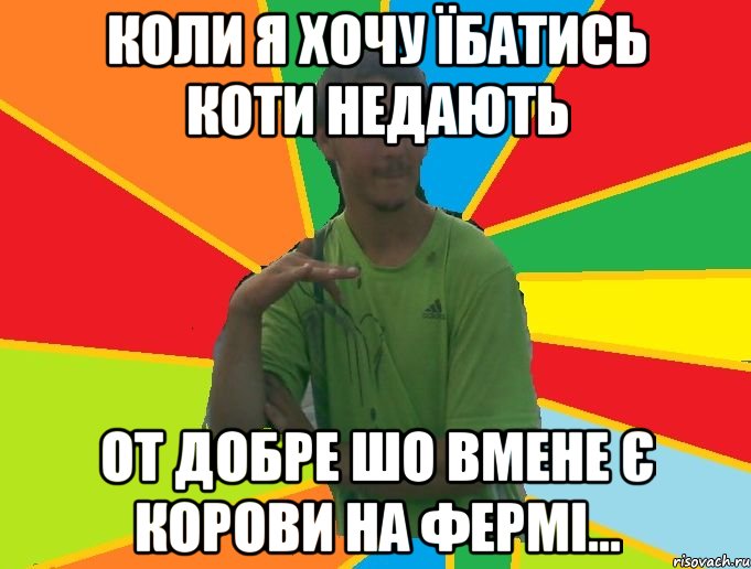 Коли я хочу їбатись коти недають От добре шо вмене є корови на фермі...