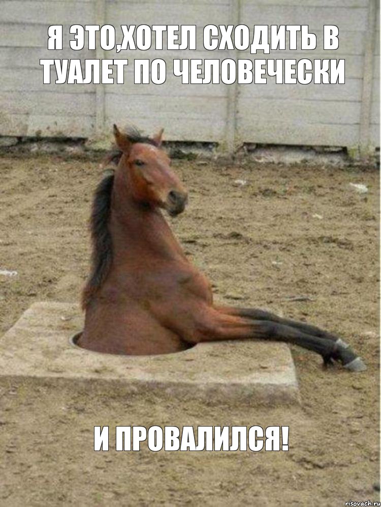 Я ЭТО,ХОТЕЛ СХОДИТЬ В ТУАЛЕТ ПО ЧЕЛОВЕЧЕСКИ И ПРОВАЛИЛСЯ!