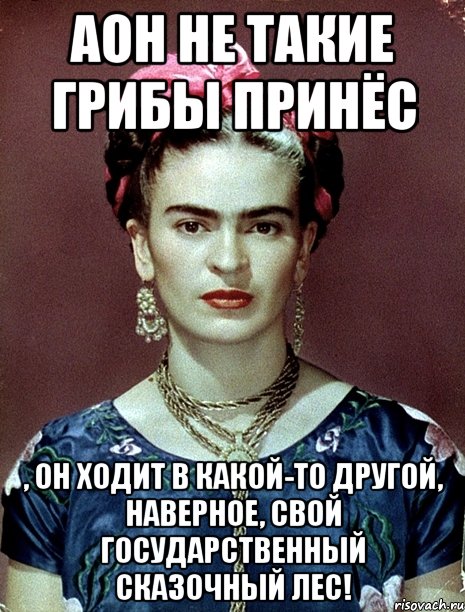 АОН не такие грибы принёс , он ходит в какой-то другой, наверное, свой государственный сказочный лес!, Мем Magdalena Carmen Frieda Kahlo Ca