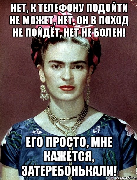 Нет, к телефону подойти не может, нет, он в поход не пойдёт, нет не болен! Его просто, мне кажется, затеребонькали!
