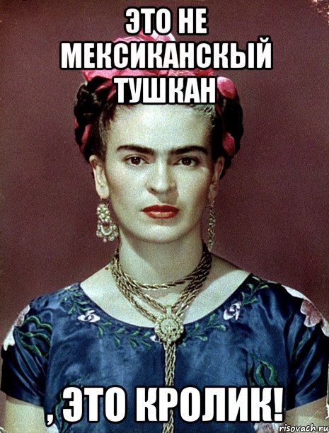 Это не мексиканскый тушкан , это кролик!
