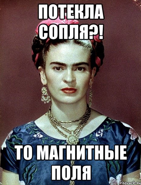 Потекла сопля?! То магнитные поля, Мем Magdalena Carmen Frieda Kahlo Ca