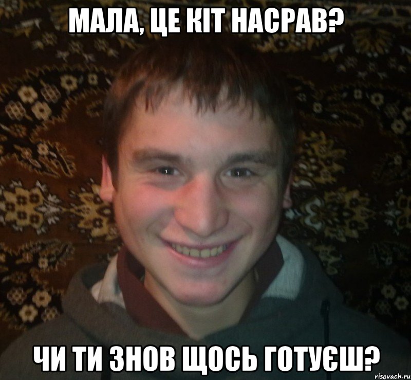 мала, це кіт насрав? чи ти знов щось готуєш?