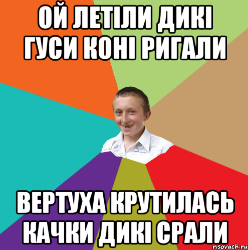 ОЙ ЛЕТІЛИ ДИКІ ГУСИ КОНІ РИГАЛИ ВЕРТУХА КРУТИЛАСЬ КАЧКИ ДИКІ СРАЛИ