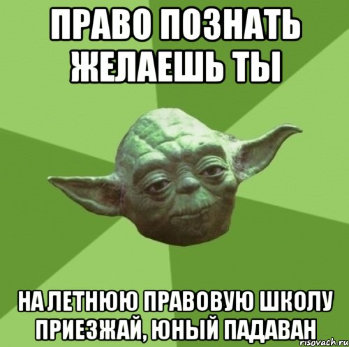 право познать желаешь ты на летнюю правовую школу приезжай, юный падаван, Мем Мастер Йода