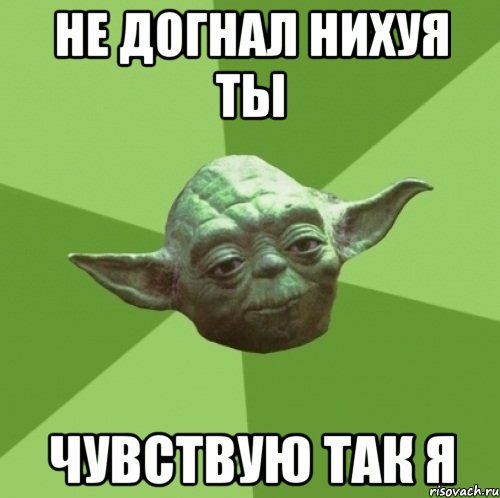 Не догнал нихуя ты чувствую так я, Мем Мастер Йода
