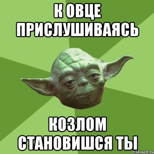К овце прислушиваясь Козлом становишся ты, Мем Мастер Йода