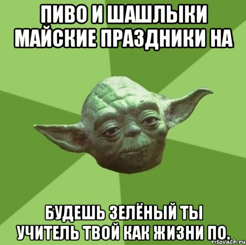 Пиво и шашлыки майские праздники на Будешь зелёный ты учитель твой как жизни по., Мем Мастер Йода