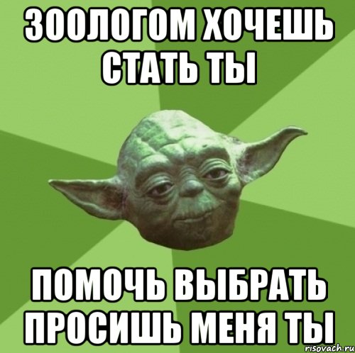 Зоологом хочешь стать ты Помочь выбрать просишь меня ты, Мем Мастер Йода