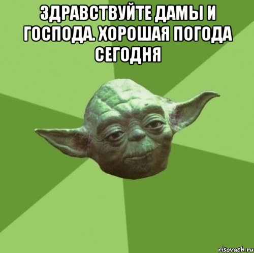 Здравствуйте дамы и господа. Хорошая погода сегодня , Мем Мастер Йода