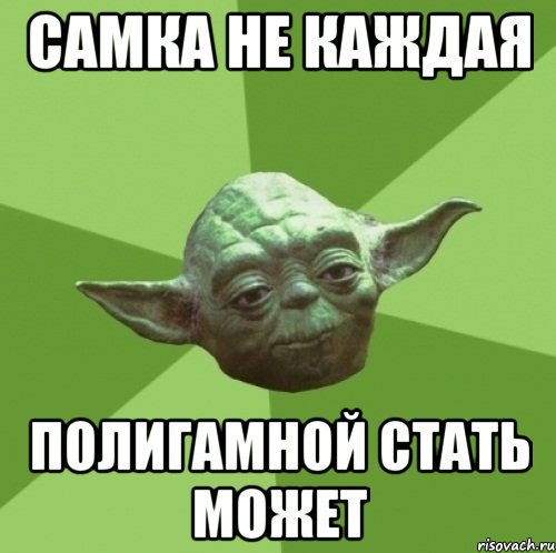 самка не каждая полигамной стать может, Мем Мастер Йода