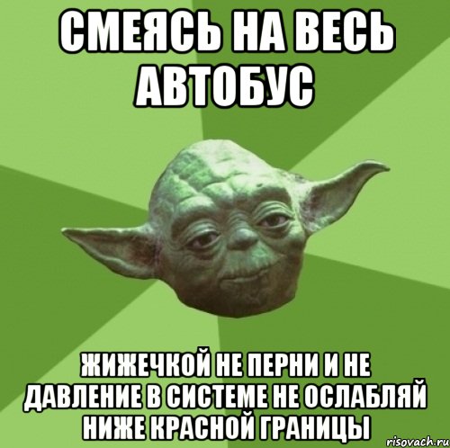 смеясь на весь автобус жижечкой не перни и не давление в системе не ослабляй ниже красной границы, Мем Мастер Йода