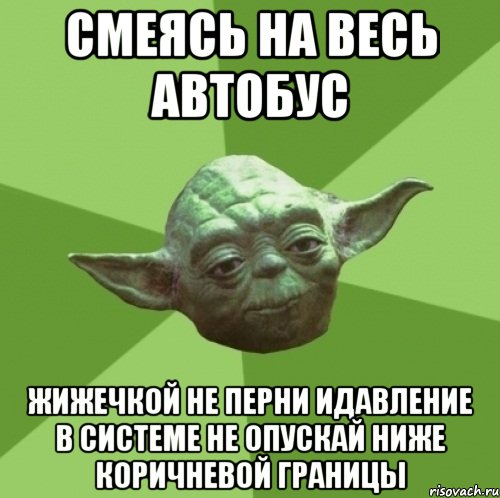 смеясь на весь автобус жижечкой не перни идавление в системе не опускай ниже коричневой границы, Мем Мастер Йода