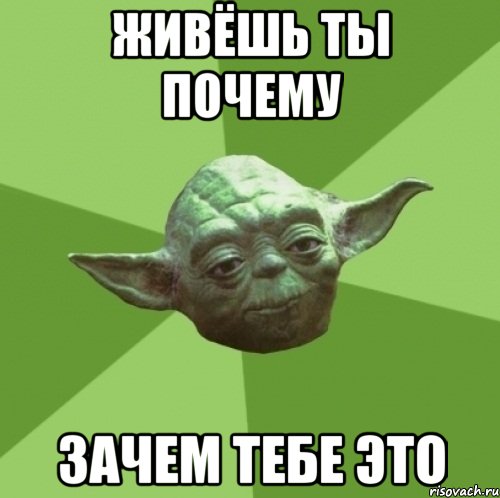 живёшь ты почему зачем тебе это, Мем Мастер Йода