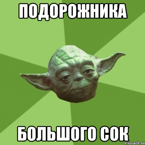 подорожника большого сок, Мем Мастер Йода