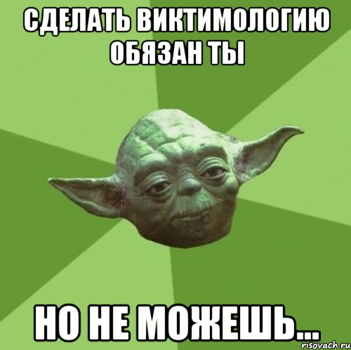 Сделать виктимологию обязан ты но не можешь..., Мем Мастер Йода