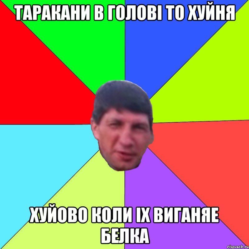 Таракани в голові то хуйня хуйово коли іх виганяе белка