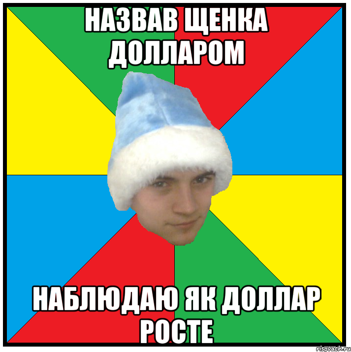 назвав щенка долларом наблюдаю як доллар росте