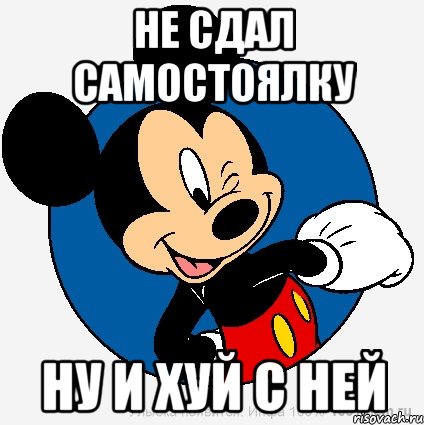 Не сдал самостоялку Ну и хуй с ней, Мем микки