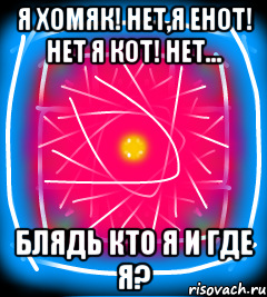 Я хомяк! Нет,я енот! Нет я кот! Нет... Блядь кто я и где я?
