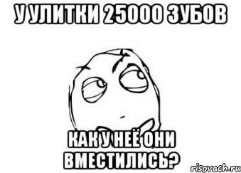 У улитки 25000 зубов Как у неё они вместились?, Мем Мне кажется или