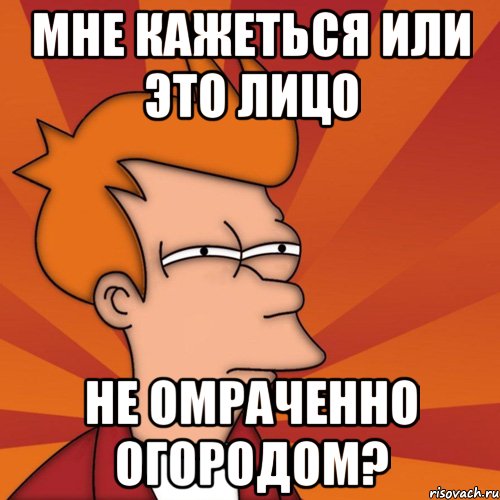 мне кажеться или это лицо не омраченно огородом?, Мем Мне кажется или (Фрай Футурама)