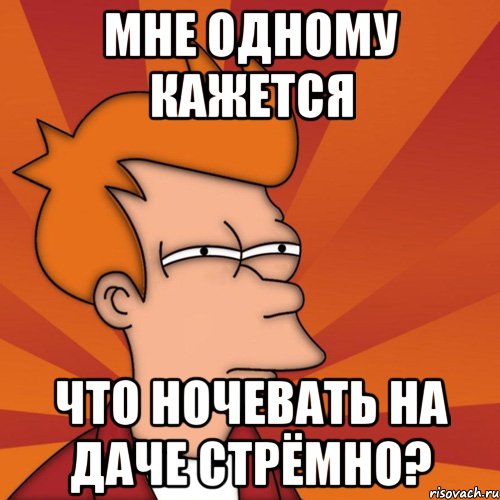 мне одному кажется что ночевать на даче стрёмно?, Мем Мне кажется или (Фрай Футурама)
