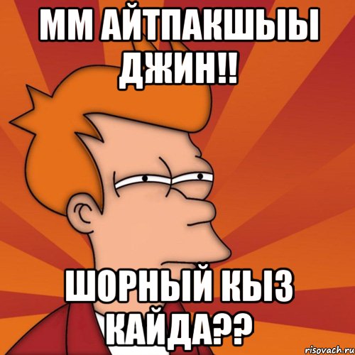 мм айтпакшыы Джин!! Шорный кыз кайда??, Мем Мне кажется или (Фрай Футурама)