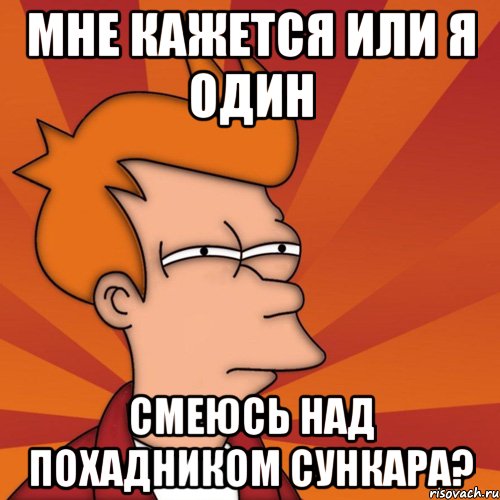 МНЕ КАЖЕТСЯ ИЛИ Я ОДИН СМЕЮСЬ НАД ПОХАДНИКОМ Сункара?, Мем Мне кажется или (Фрай Футурама)
