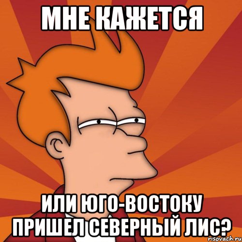мне кажется или юго-востоку пришел северный лис?, Мем Мне кажется или (Фрай Футурама)