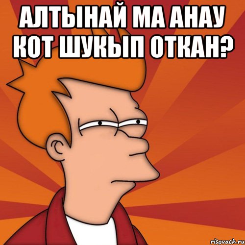 Алтынай ма анау кот шукып откан? , Мем Мне кажется или (Фрай Футурама)