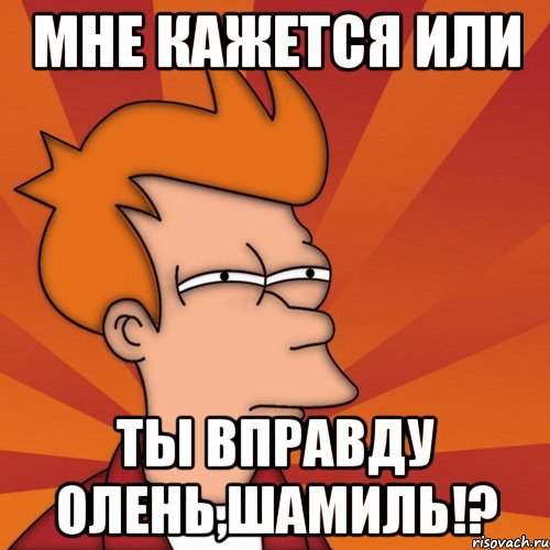 мне кажется или ты вправду олень,Шамиль!?, Мем Мне кажется или (Фрай Футурама)