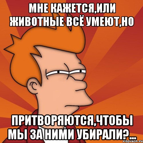 мне кажется,или животные всё умеют,но притворяются,чтобы мы за ними убирали?..., Мем Мне кажется или (Фрай Футурама)