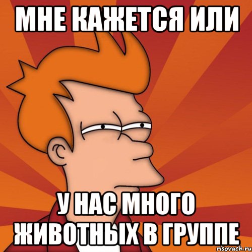 Мне кажется или у нас много животных в группе, Мем Мне кажется или (Фрай Футурама)
