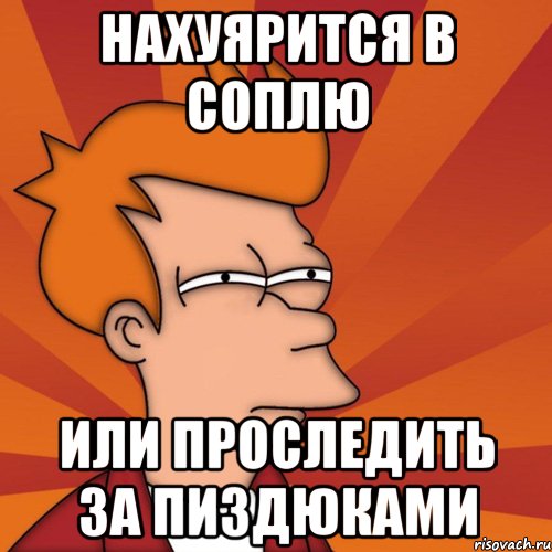 НАХУЯРИТСЯ В СОПЛЮ ИЛИ ПРОСЛЕДИТЬ ЗА ПИЗДЮКАМИ, Мем Мне кажется или (Фрай Футурама)