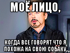 Моё лицо, Когда все говорят что я похожа на свою собаку