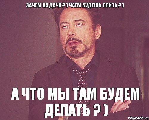 Зачем на дачу ? ) Чаем будешь поить ? ) А что мы там будем делать ? ), Мем твое выражение лица