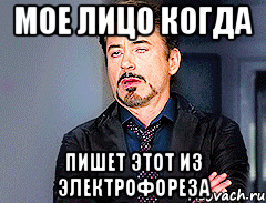 мое лицо когда пишет этот из электрофореза
