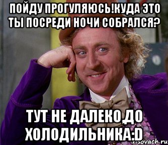 Пойду прогуляюсь!куда это ты посреди ночи собрался? Тут не далеко,до холодильника:D, Мем мое лицо