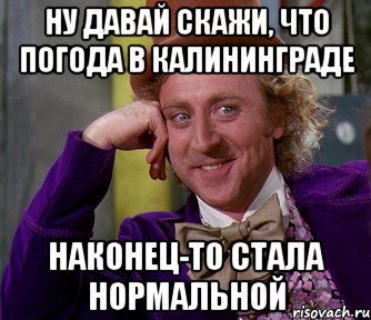 ну давай скажи, что погода в калининграде наконец-то стала нормальной, Мем мое лицо