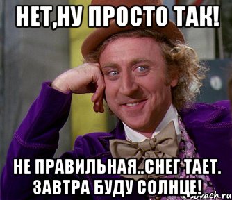 нет,ну просто так! не правильная..снег тает. завтра буду солнце!, Мем мое лицо