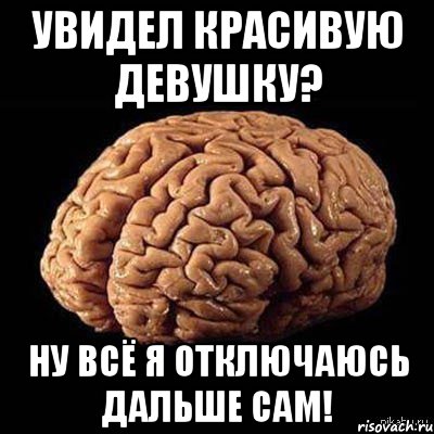 Увидел красивую девушку? Ну всё я отключаюсь дальше сам!