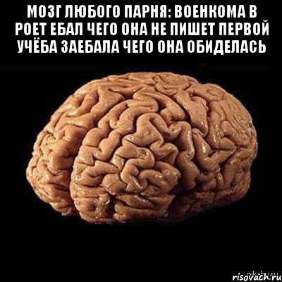 Мозг любого парня: Военкома в роет ебал Чего она не пишет первой Учёба заебала Чего она обиделась 