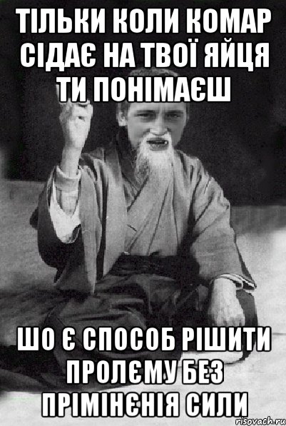 тільки коли комар сідає на твої яйця ти понімаєш шо є способ рішити пролєму без прімінєнія сили, Мем Мудрий паца