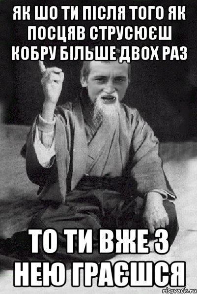 Як шо ти після того як посцяв струсюєш кобру більше двох раз то ти вже з нею граєшся, Мем Мудрий паца