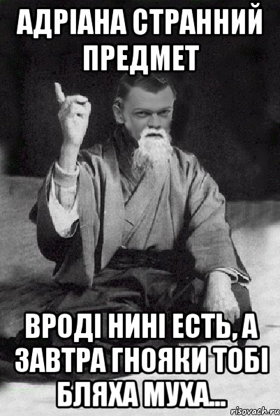 Адріана странний предмет вроді нині есть, а завтра гнояки тобі бляха муха..., Мем Мудрий Виталька