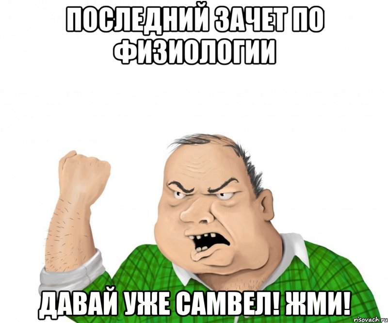 Последний зачет по физиологии Давай уже самвел! Жми!, Мем мужик