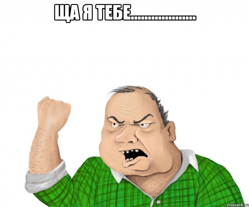 ща я тебе................... , Мем мужик