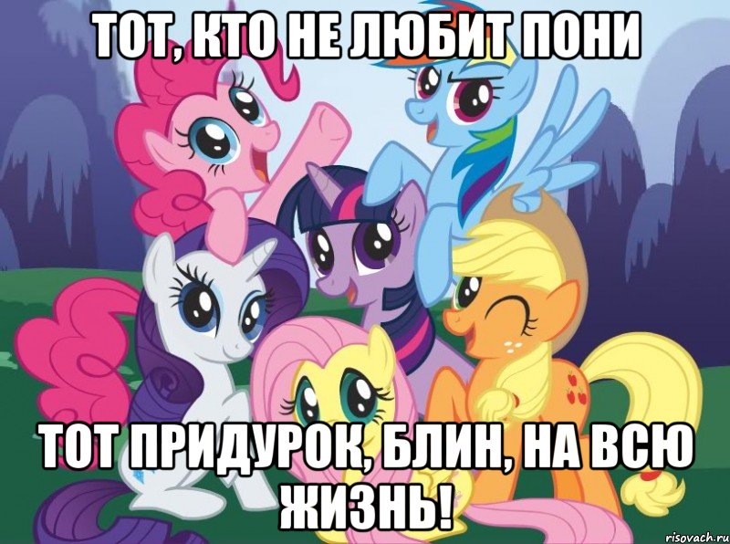 тот, кто не любит пони тот придурок, блин, на всю жизнь!, Мем My little pony