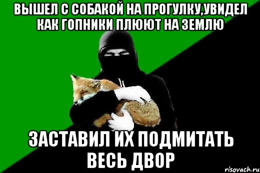 вышел с собакой на прогулку,увидел как гопники плюют на землю заставил их подмитать весь двор